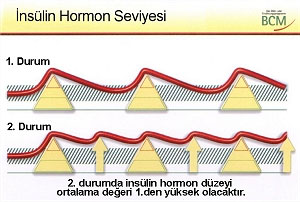 Diyet - Insulün Iliskisi