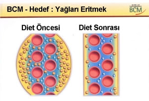 Diyet - Insulün Iliskisi