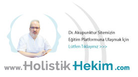 Holistik Hekim